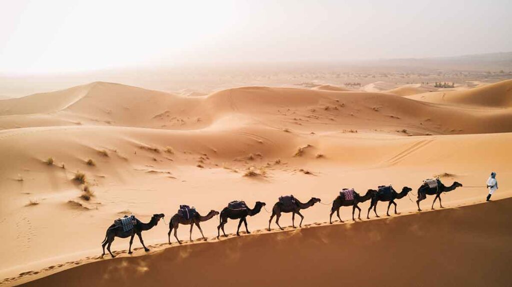 Marrakech A Fez Por El Desierto